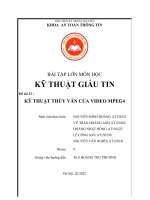 BÀI TẬP LỚN MÔN HỌC KỸ THUẬT GIẤU TIN Đề tài 23 :  KỸ THUẬT THỦY VÂN CỦA VIDEO MPEG4