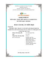 TÌM HIỂU THỰC TRẠNG và xây DỰNG kế HOẠCH DIGITAL MARKETING CHO NHÃN HÀNG PS của CÔNG TY TNHH QUỐC tế UNILEVER VIỆT NAM 