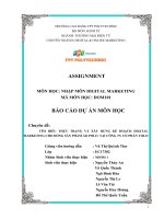 TÌM HIỂU THỰC TRẠNG và xây DỰNG kế HOẠCH DIGITAL MARKETING CHO DÒNG sản PHẨM áo POLO tại CÔNG TY cổ PHẦN YOLO 