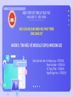 BÁO cáo nội DUNG môn học PHÁT TRIỂN ỨNG DỤNG IOT tìm HIỂU về MODULE ESP32 WROOM 32e 