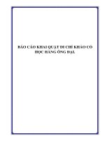 BÁO CÁO KHAI QUẬT DI CHỈ KHẢO CỔ HỌC HÀNG ÔNG ĐẠI.