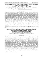 Mô hình khử nhiễu bóng xương trong chẩn đoán bệnh trên ảnh X-quang phổi