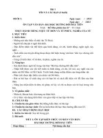 Giáo án dạy thêm ngữ văn 6 sách kết nối tri thức với cuộc sống (kì 1, chất lượng)