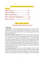 Giáo án bồi dưỡng học sinh giỏi ngữ văn 6 mới, chất lượng  