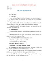 Giáo án ôn tập và kiểm tra giữa kì 2 ngữ văn 6 sách cánh diều