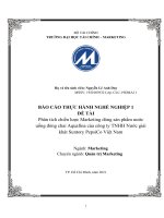 Phân tích chiến lược marketing dòng sản phẩm nước uống đóng chai aquafina của công ty TNHH nước giải khát suntory pepsico việt nam