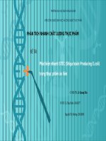 Báo cáo Phân tích nhanh Đề tài: Phân tích nhanh  STEC  trong thực phẩm ăn liền