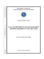 Các vấn đề pháp lý về sàn giao dịch thương mại điện tử tại việt nam 