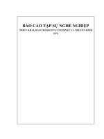 Báo cáo thực tập FPT