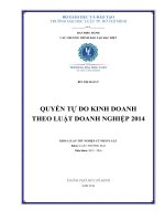 Quyền tự do kinh doanh theo luật doanh nghiệp 2014 