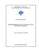 Thi hành hình phạt tiền và tịch thu tài sản trong bản án hình sự 