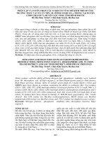 Phân lập và tuyển chọn các vi khuẩn vùng rễ kích thích tăng trưởng thực vật ở cây tiêu sẻ (Piper nigrum L.) trồng tại huyện Chơn Thành và huyện Lộc Ninh, tỉnh Bình Phước