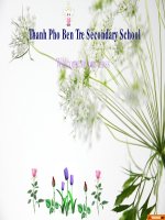 Bài giảng môn Tiếng Anh lớp 8 - Unit 4: Our past (Getting started and Listen and read)