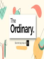 Bải tập nhóm Marketing căn bản THE ORDINARY PRESENTATION