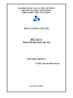 BÁO cáo bài tập lớn đề tài 3 phép thử đạo hàm bậc hai 