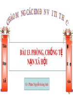 Bài giảng môn GDCD lớp 8 - Bài 13: Phòng, chống tệ nạn xã hội