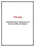 Tiểu luận Giới thiệu chung về không gian văn hóa cồng chiêng Tây Nguyên