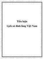 Tiểu luận Lịch sử đình làng Việt Nam