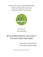 HYDROXYPROPYL CELLULOSE và  ỨNG DỤNG TRONG THỰC PHẨM 