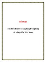 Tiểu luận Tìm hiểu thành hoàng làng trong làng xã nông thôn Việt Nam