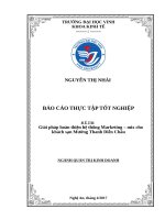 Giải pháp hoàn thiện hệ thống marketing – mix cho khách sạn mường thanh diễn châu 