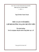 Tiểu luận cuối khóa quản lý nhà nước