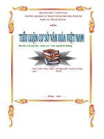 Tiểu luận Lễ hội tục “kéo vợ” của người H’Mông