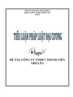Tiểu luận công ty TNHH 2 thành viên trở lên 
