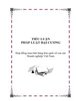 Tiểu luận Hợp đồng mua bán hàng hóa quốc tế của các doanh nghiệp Việt Nam