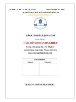 BÁO CÁO BÀI TẬP NHÓM HỌC PHẦN TÀI CHÍNH DOANH NGHIỆP