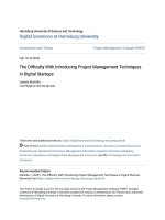 Luận văn thạc sĩ the difficulty with introducing project management techniques in digital startups 