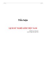 Tiểu luận Lịch sử nghề gốm Việt Nam