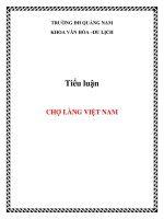 Tiểu luận Chợ làng Việt Nam