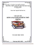 CHUYÊN đề KIM LOẠI KIỀM KIỀM THỔ NHÔM 
