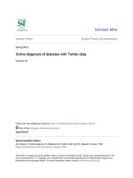 Luận văn thạc sĩ online diagnosis of diabetes with twitter data 