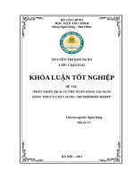 147  PHÁT TRIỂN DỊCH vụ THẺ NGÂN HÀNG tại NGÂN HÀNG TMCP á CHÂU (ACB) – CHI  NHÁNH hà THÀNH 