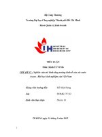 TIỂU LUẬN môn kinh tế vĩ mô CHỦ đề 12  nghiên cứu mô hình tăng trưởng kinh tế của các nước asean   bài học kinh nghiệm của việt nam 