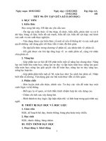 Giáo án ôn tập và kiểm tra giữa kì 2 toán 6 sách mới cánh diều, kêt nối tri thức (đề có ma trận, đáp án)  