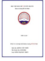 TIỂU LUẬN đề tài cơ sở lý luận hình thành tư tưởng hồ chí minh