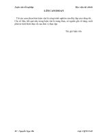 134  quản trị vốn bằng tiền tại tổng công ty đầu tư nước và môi trường việt nam  CTCP 