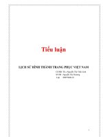 Tiểu luận Lịch sử hình thành trang phục Việt Nam