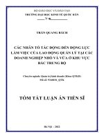 Các nhân tố tác động đến động lực làm việc của lao động quản lý tại các doanh nghiệp nhỏ và vừa ở khu vực Bắc Trung Bộ.