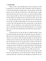 Sáng kiến kinh nghiệm THPT: Phát triển năng lực hợp tác và giao tiếp cho học sinh khi dạy chương I: Cách mạng tháng Mười Nga năm 1917 và công cuộc xây dựng chủ nghĩa xã hội ở Liên