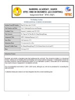 Marketing analysis and proposal for Vinfast Vfe34