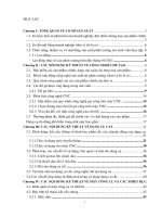 báo cáo thực tập tổng hợp tại CÔNG TY TNHH HOÀNG NGÂN 