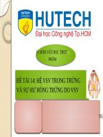 tiểu luận VI SINH vật học THỰC PHẨM hệ VSV TRONG TRỨNG và sự hư HỎNG TRỨNG DO VSV 