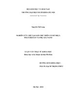 Nghiên cứu chế tạo sơn phủ trên cơ sở nhựa polyuretan và phụ gia nano 
