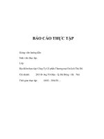 Báo cáo thực tập tại Công ty Cổ phần Thương mại Du lịch Thủ Đô