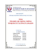 Tiểu luận TÌM HIỂU HỆ THỐNG THÔNG TIN QUẢN LÝ CỦA CÔNG TY AMAZON