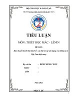 TIỂU LUẬN môn TRIẾT học mác   LÊNIN đề bài học thuyết hình thái kinh tế   xã hội và sự vận dụng của đảng ta ở việt nam hiện nay  